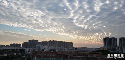 隨手拍