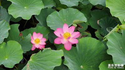 【與時(shí)光的對(duì)話】+ 回憶過(guò)往