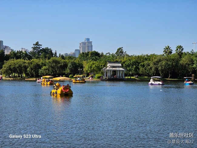 #秋末冬初——冬日暖陽