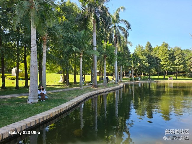 #秋末冬初——冬日暖陽