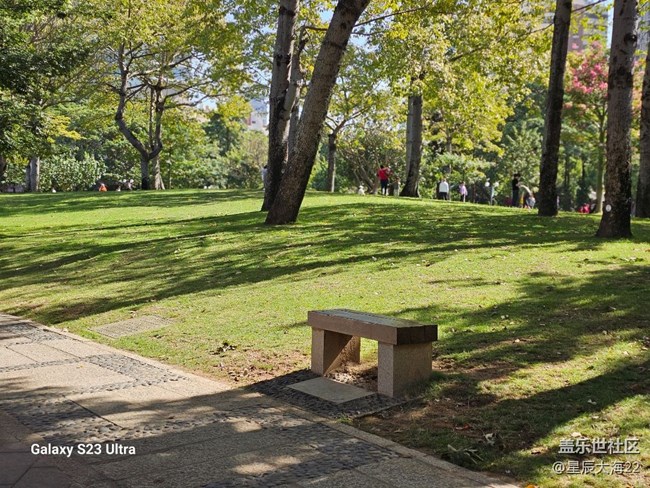 #秋末冬初——冬日暖陽