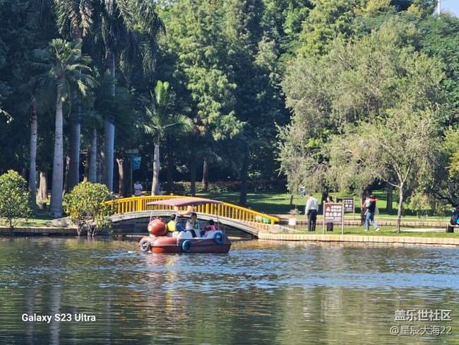 #秋末冬初——冬日暖陽