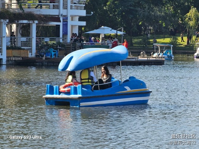 #秋末冬初——冬日暖陽