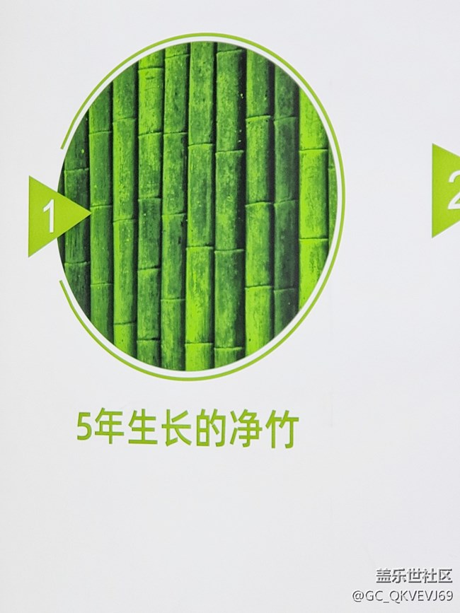 【環(huán)保小衛(wèi)士】+竹炭粉