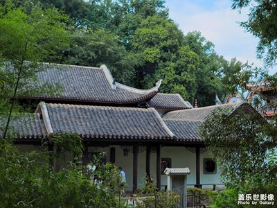 隨手拍