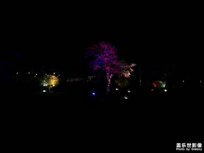 寒風(fēng)瑟瑟的夜晚