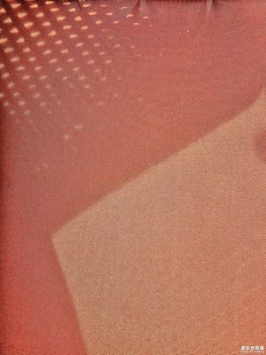 【我們的視界】+魅力生活