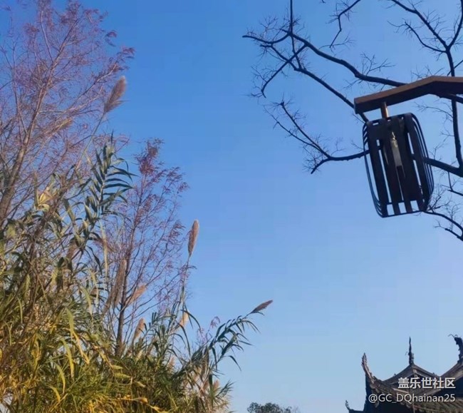 【秋日勝春朝】逛公園