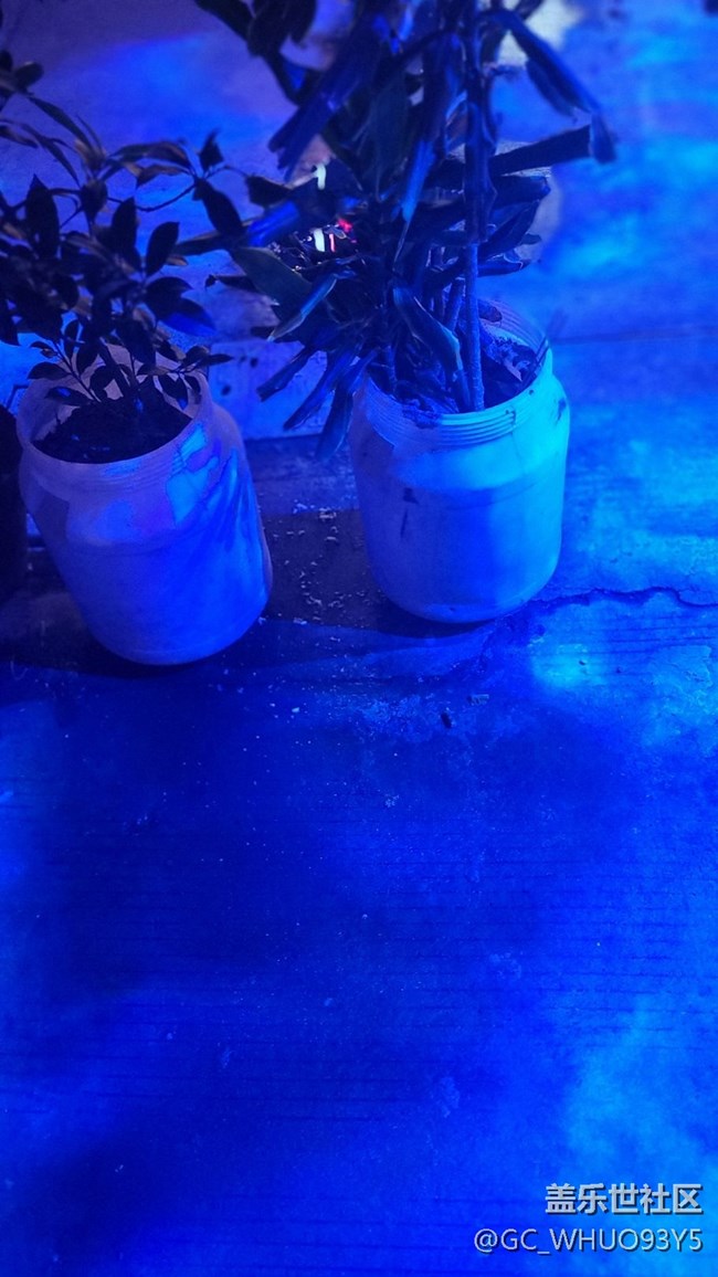 【美麗的夜】小巷