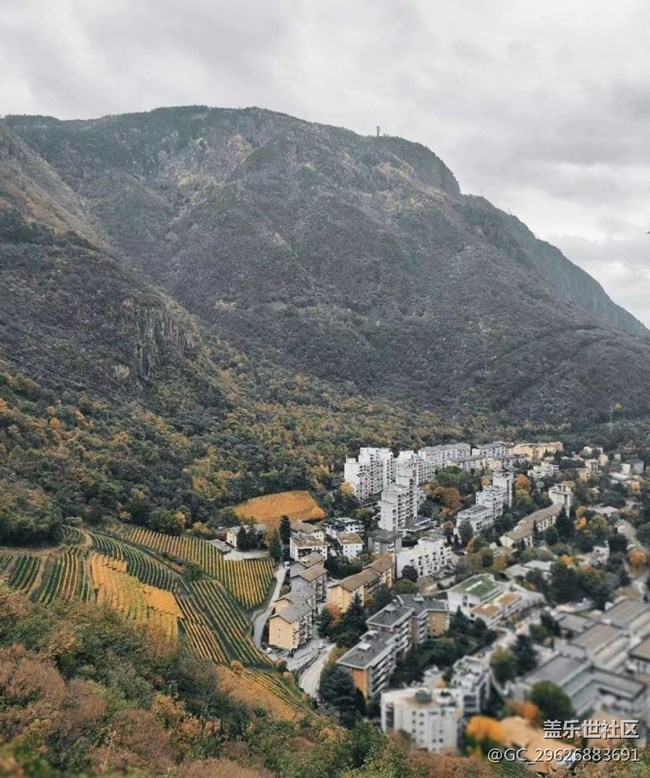 【抓住秋天的尾巴】美麗秋景