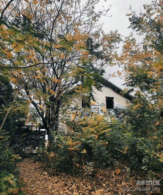 【抓住秋天的尾巴】美麗秋景