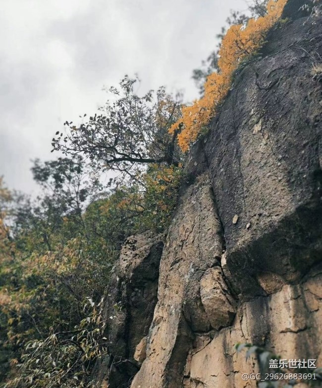 【抓住秋天的尾巴】美麗秋景