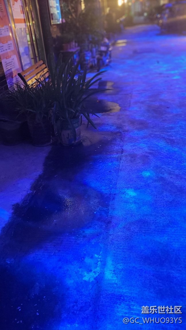 【美麗的夜】小巷