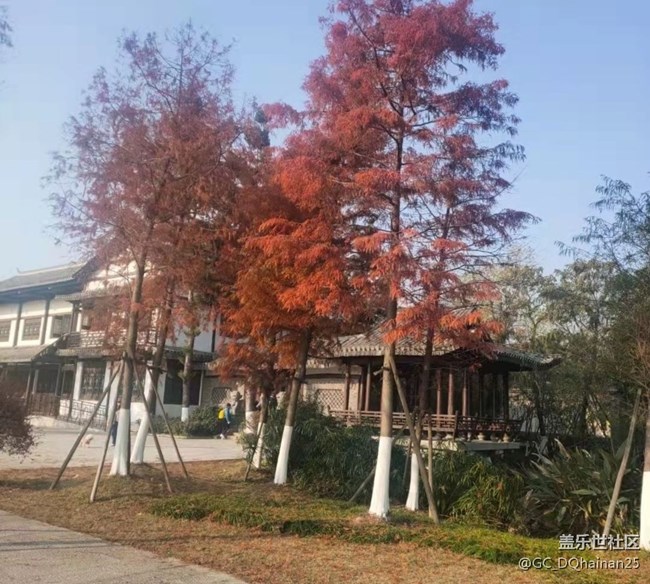 【秋日勝春朝】逛公園