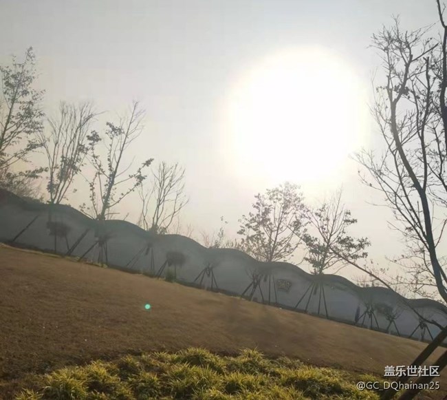 【秋日勝春朝】逛公園