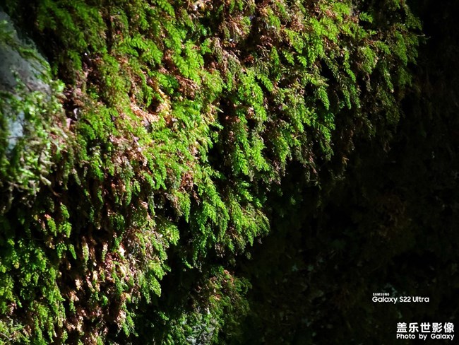 《精品大咖秀》 第二十六期：2023年的最后一個(gè)月