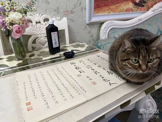 我和愛寵的故事       絆腳貓