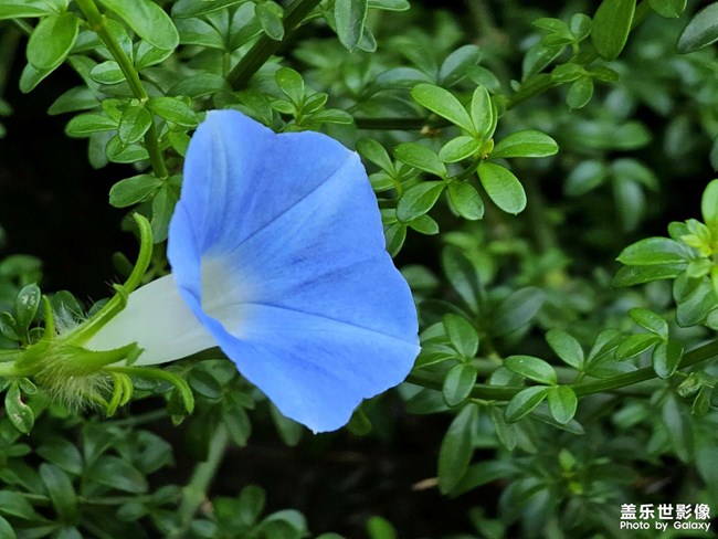 《精品大咖秀》 第二十六期：2023年的最后一個(gè)月