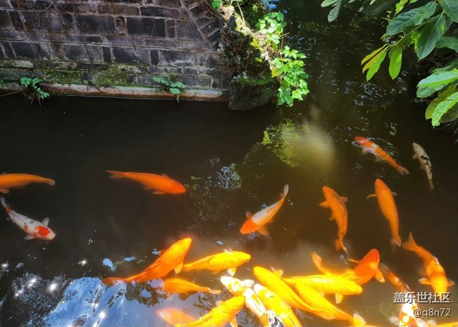 #秋末冬初—風景