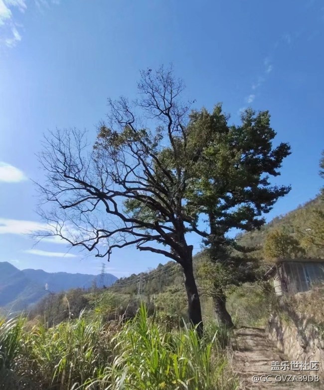 【秋日勝春朝】爬山鍛煉身體