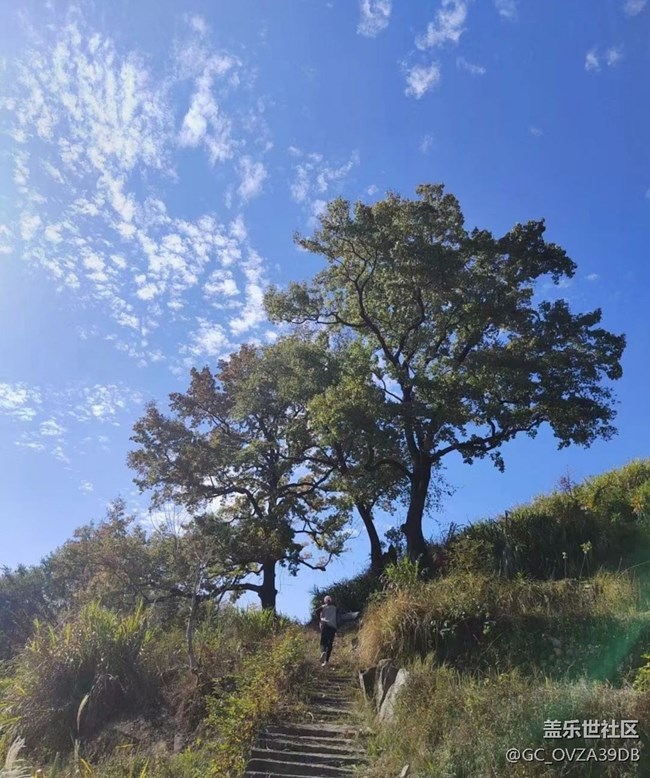 【秋日勝春朝】爬山鍛煉身體
