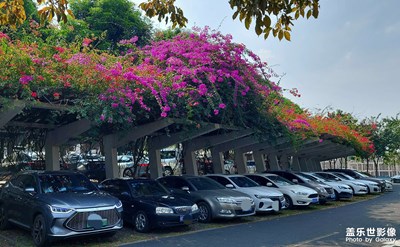 最美停車場(chǎng)