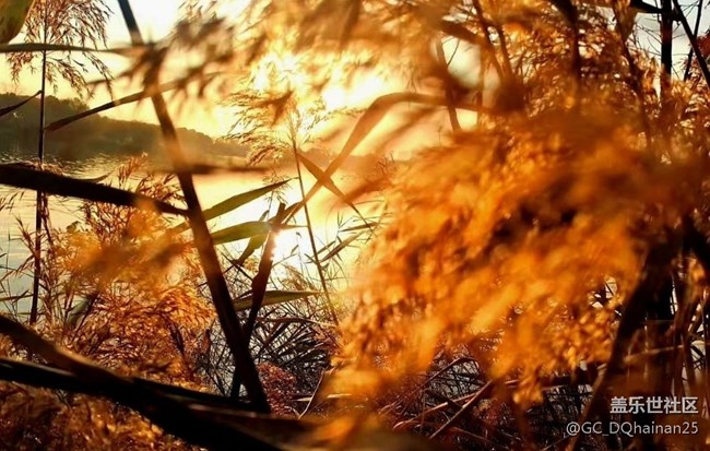 【抓住秋天的尾巴】游湖