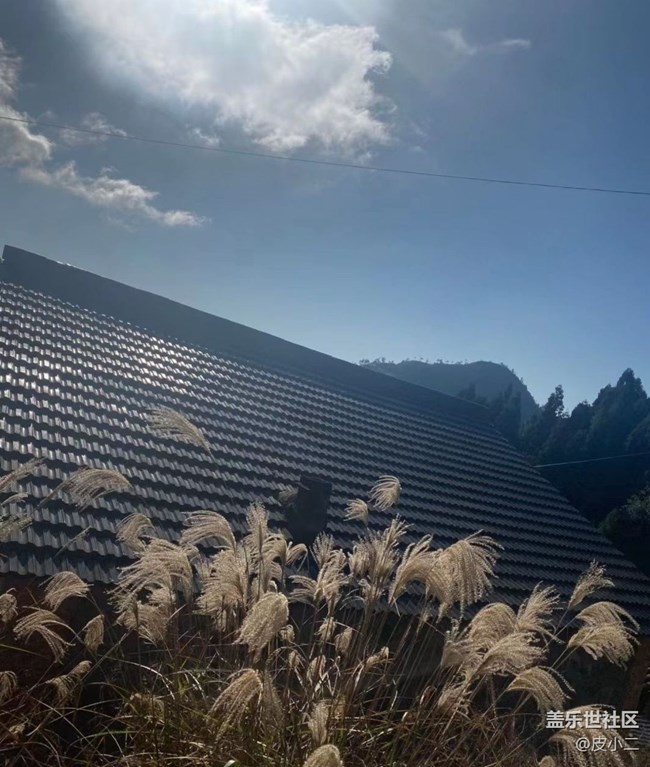 【抓住秋天的尾巴】深秋風(fēng)景