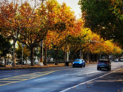 【淡寫時光】+靜靜地