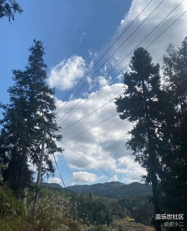 【抓住秋天的尾巴】深秋風(fēng)景