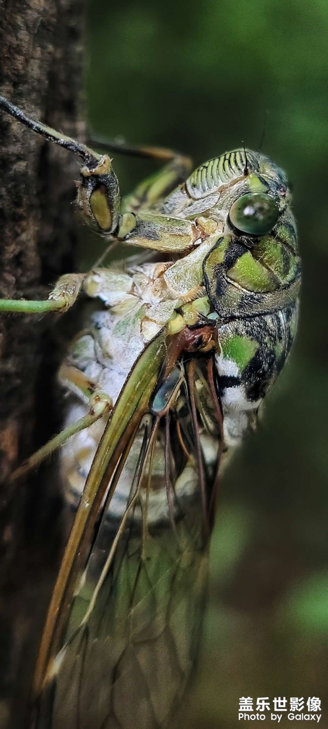 《精品大咖秀》 第二十七期：難忘2023