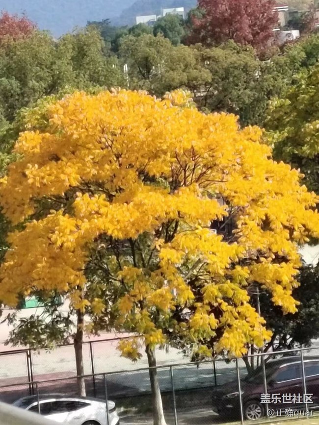 【抓住秋天的尾巴】秋高氣爽