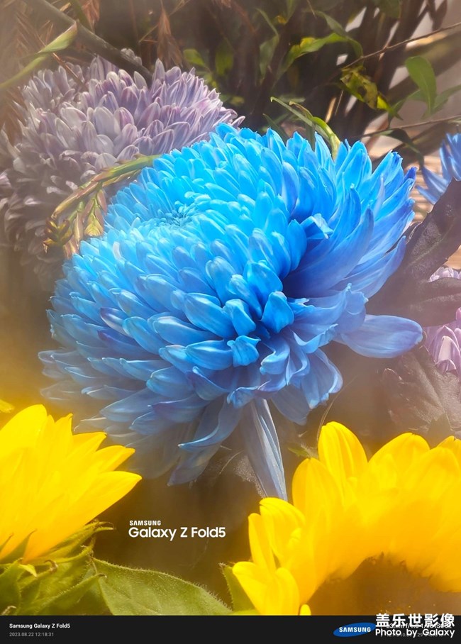 《精品大咖秀》 第二十七期：難忘2023