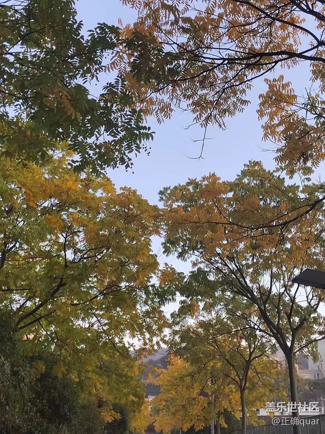【抓住秋天的尾巴】秋高氣爽