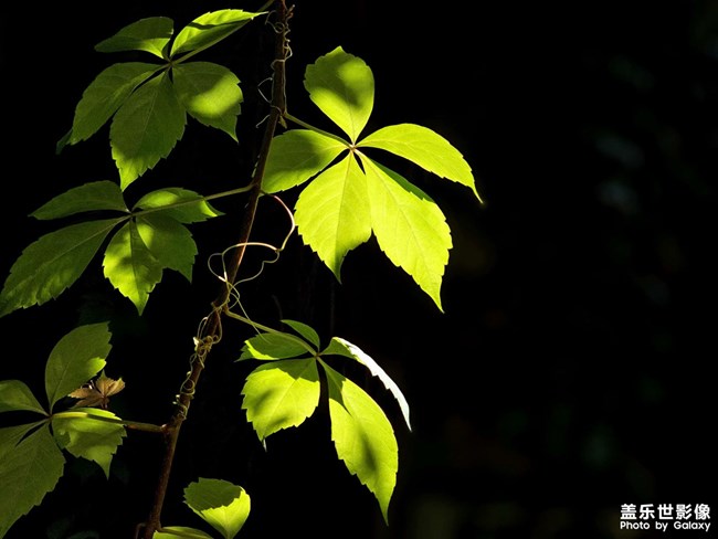 《精品大咖秀》 第二十七期：難忘2023