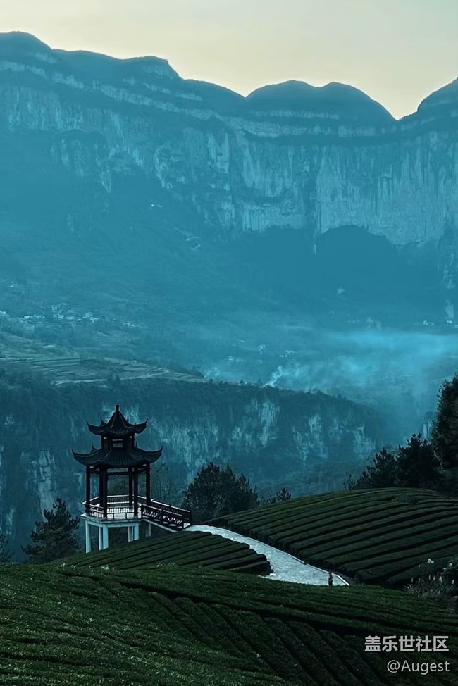 【大約在冬季】恩施茶山