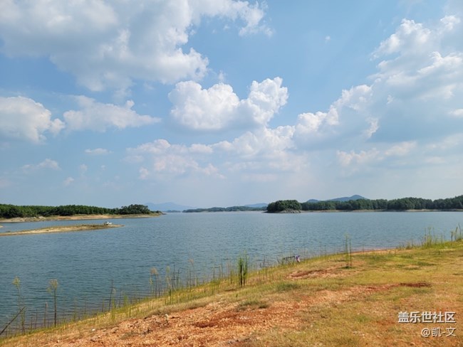 [大約在冬季]楚菜+露營