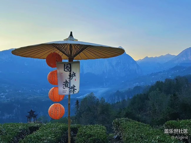 【大約在冬季】恩施茶山