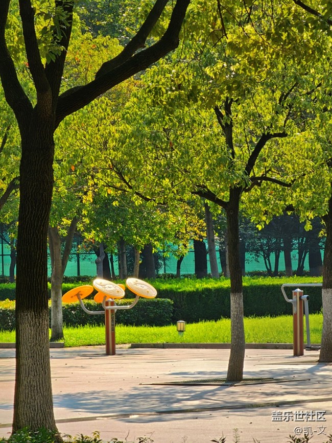 [大約在冬季]悄悄地夏天就過(guò)去了