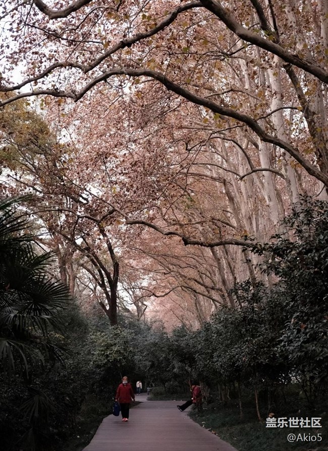 【大約在冬季】中山公園