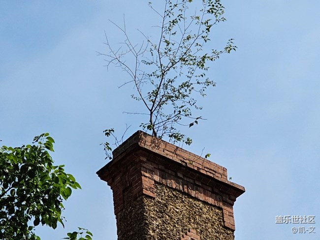 [大約在冬季]悄悄地夏天就過(guò)去了