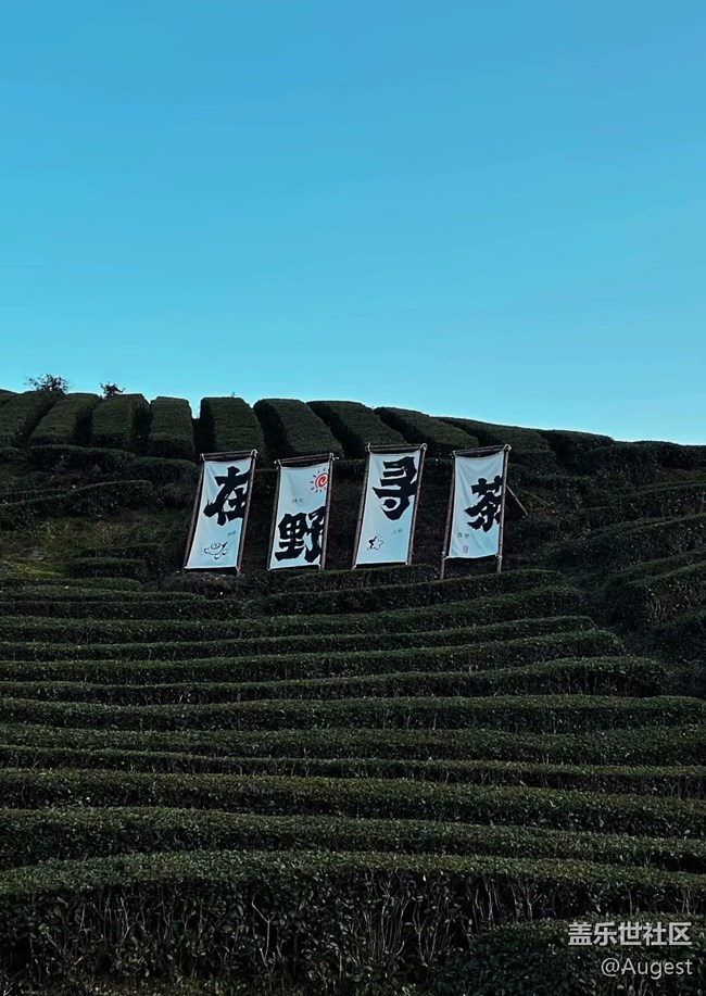 【大約在冬季】恩施茶山