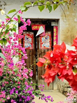 花開富貴