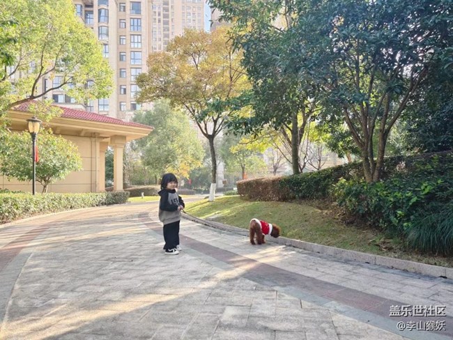 【抓住秋天的尾巴】遛狗