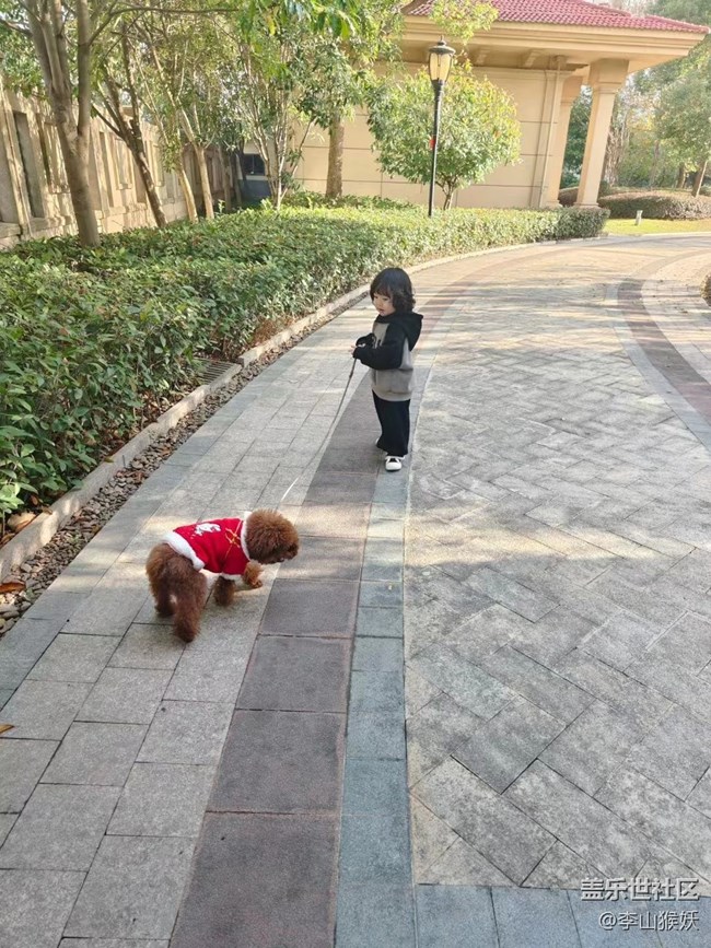 【抓住秋天的尾巴】遛狗