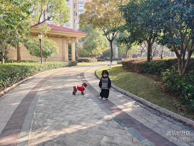 【抓住秋天的尾巴】遛狗