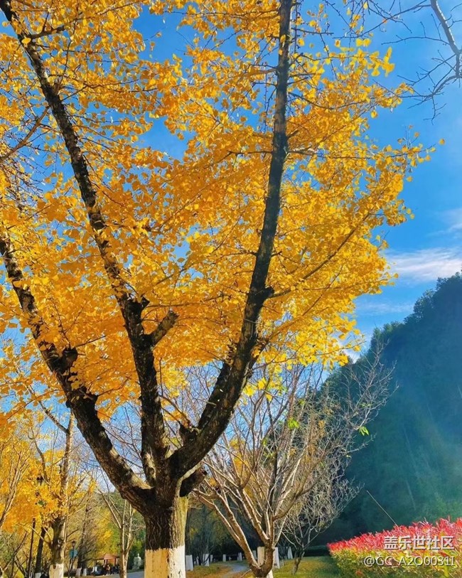 【抓住秋天的尾巴】深秋的美景