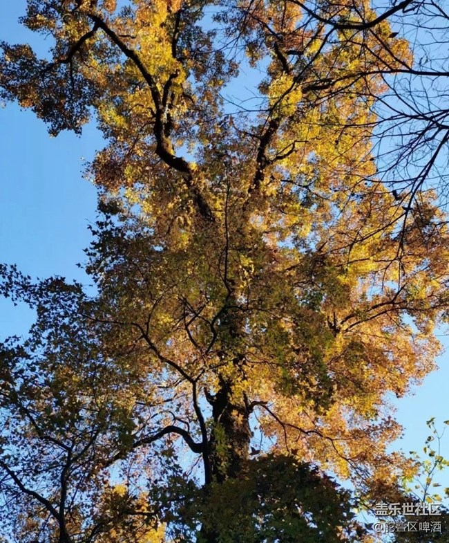【抓住秋天的尾巴】景色