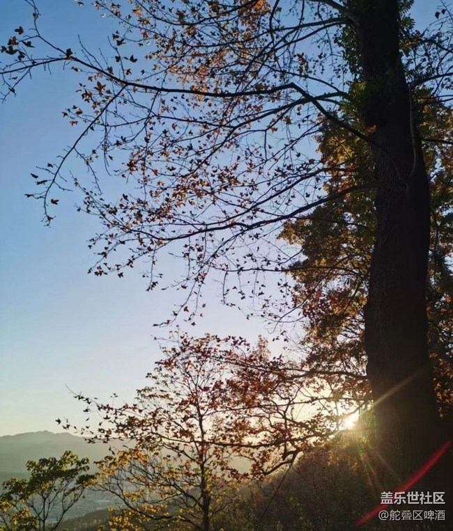 【抓住秋天的尾巴】景色