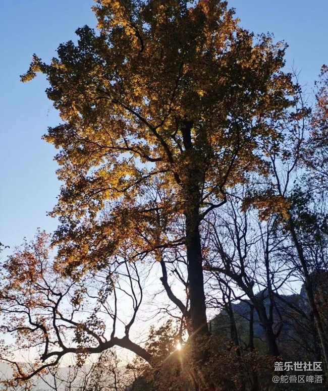 【抓住秋天的尾巴】景色